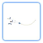 کاتتر cvc همودیالیز