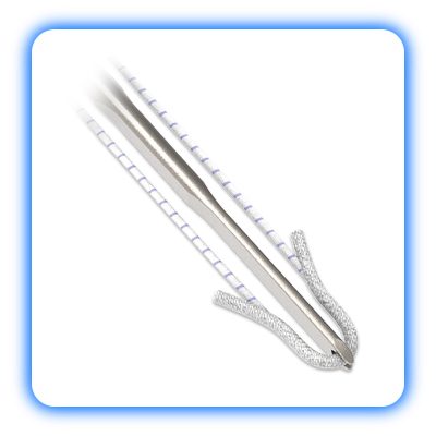 انکور سوچور